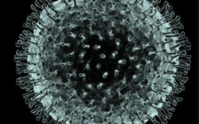 Virus 101: Facts about Viruses/Coronavirus