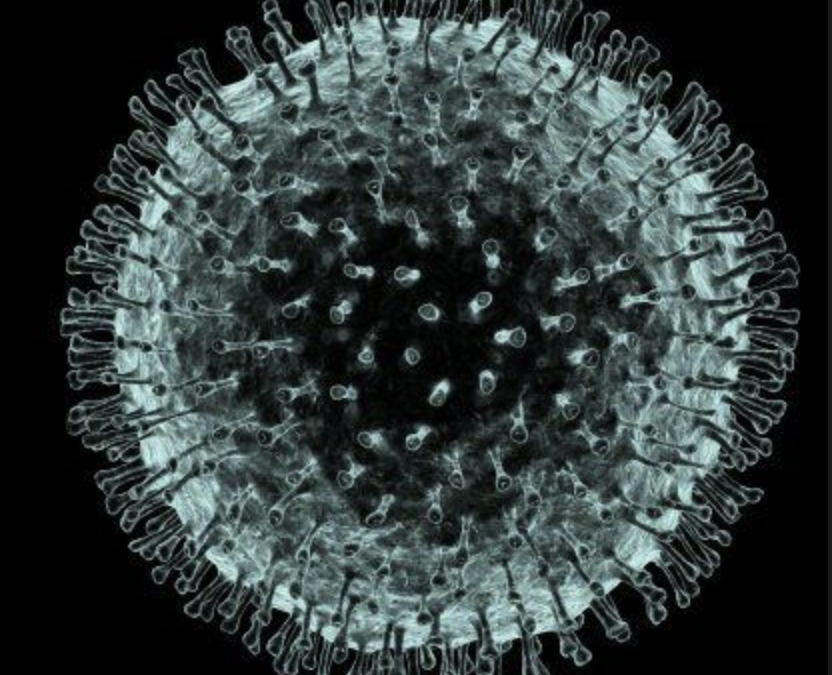 Virus 101: Facts about Viruses/Coronavirus